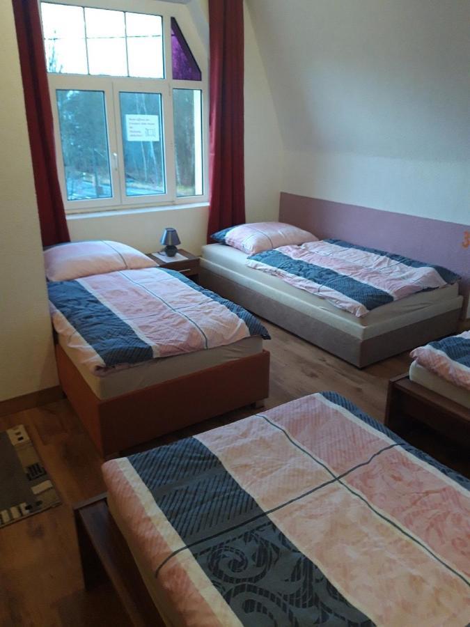 Ferienwohnung Erz-Hostel Thermalbad Wiesenbad Exterior foto